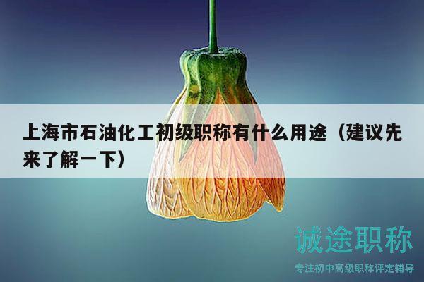 上海市石油化工初级职称有什么用途（建议先来了解一下）