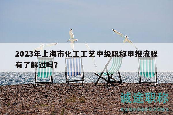 2023年上海市化工工艺中级职称申报流程有了解过吗？