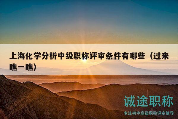 上海化学分析中级职称评审条件有哪些（过来瞧一瞧）