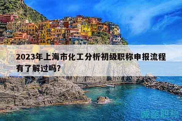 2023年上海市化工分析初级职称申报流程有了解过吗？