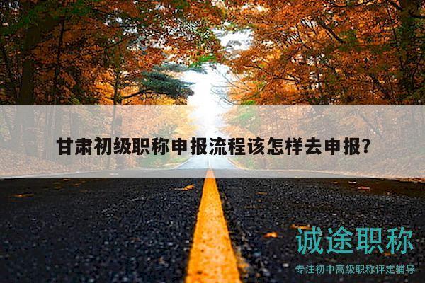 甘肃初级职称申报流程该怎样去申报？