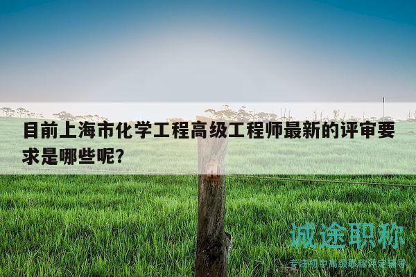 目前上海市化学工程高级工程师最新的评审要求是哪些呢？