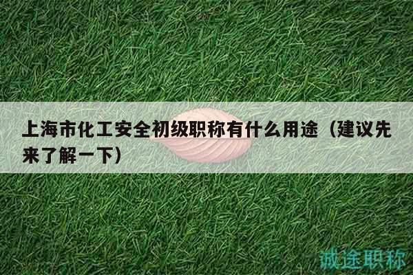 上海市化工安全初级职称有什么用途（建议先来了解一下）