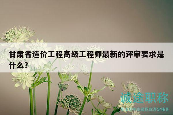 甘肃省造价工程高级工程师最新的评审要求是什么？