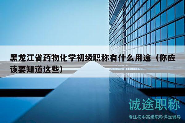 黑龙江省药物化学初级职称有什么用途（你应该要知道这些）