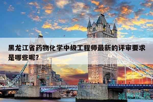 黑龙江省药物化学中级工程师最新的评审要求是哪些呢？