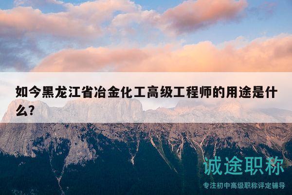 如今黑龙江省冶金化工高级工程师的用途是什么？