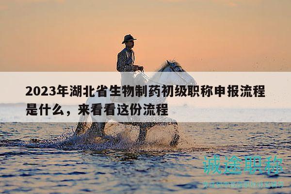 2023年湖北省生物制药初级职称申报流程是什么，来看看这份流程