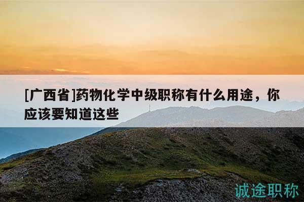 [广西省]药物化学中级职称有什么用途，你应该要知道这些