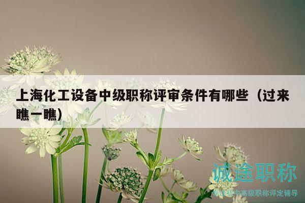 上海化工设备中级职称评审条件有哪些（过来瞧一瞧）