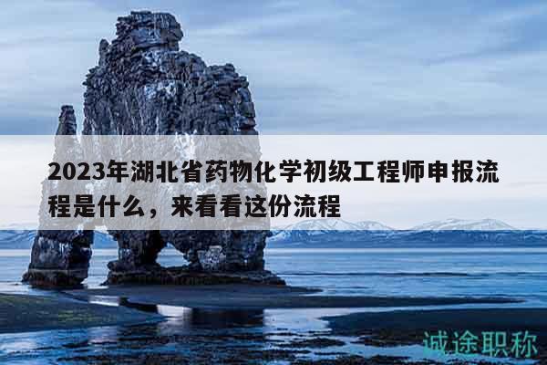 2023年湖北省药物化学初级工程师申报流程是什么，来看看这份流程