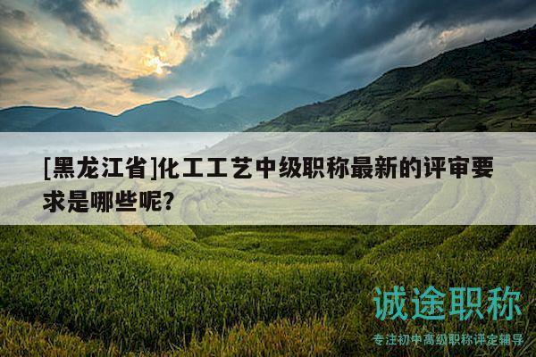 [黑龙江省]化工工艺中级职称最新的评审要求是哪些呢？