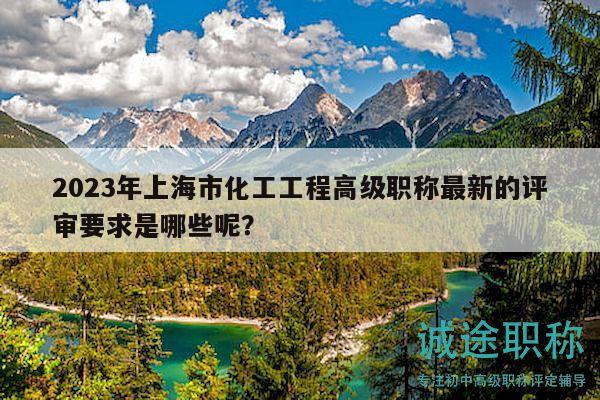 2023年上海市化工工程高级职称最新的评审要求是哪些呢？