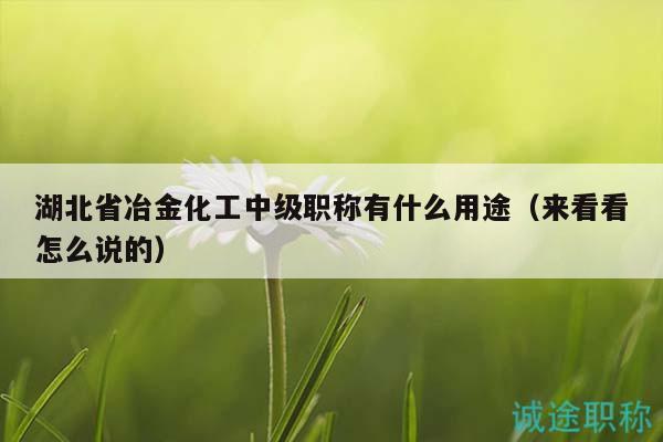 湖北省冶金化工中级职称有什么用途（来看看怎么说的）