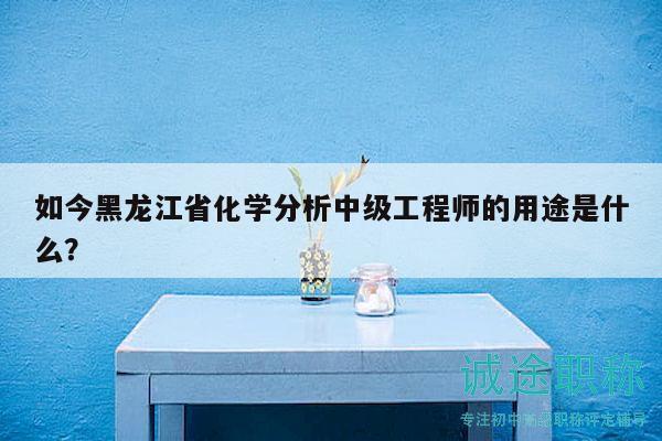 如今黑龙江省化学分析中级工程师的用途是什么？