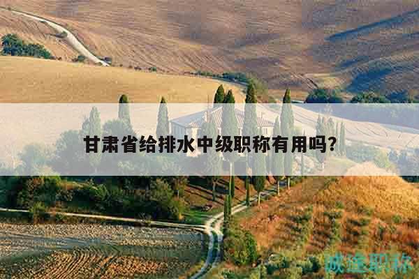 甘肃省给排水中级职称有用吗？
