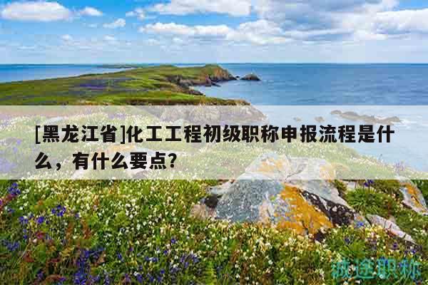 [黑龙江省]化工工程初级职称申报流程是什么，有什么要点？