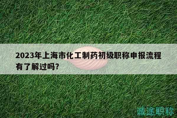 2023年上海市化工制药初级职称申报流程有了解过吗？