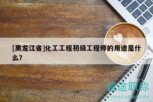 [黑龙江省]化工工程初级工程师的用途是什么？