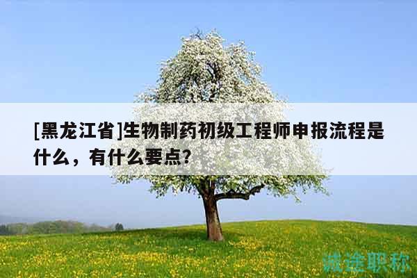 [黑龙江省]生物制药初级工程师申报流程是什么，有什么要点？