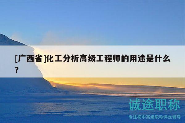 [广西省]化工分析高级工程师的用途是什么？