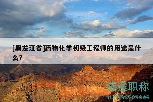 [黑龙江省]药物化学初级工程师的用途是什么？