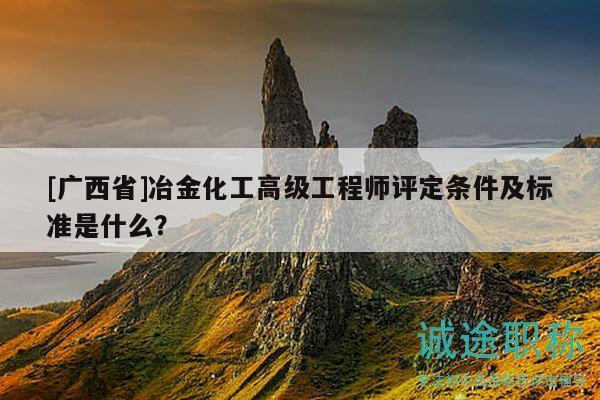 [广西省]冶金化工高级工程师评定条件及标准是什么？