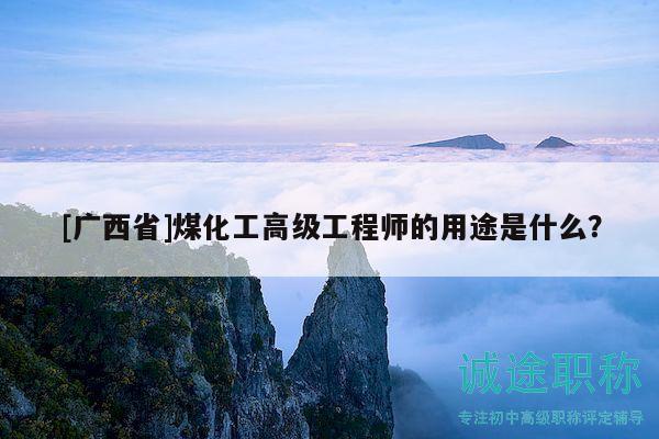 [广西省]煤化工高级工程师的用途是什么？