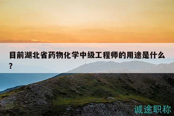 目前湖北省药物化学中级工程师的用途是什么？