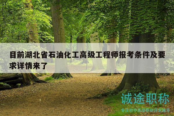 目前湖北省石油化工高级工程师报考条件及要求详情来了