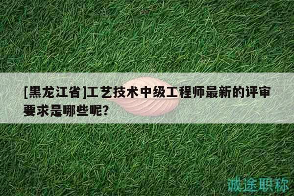 [黑龙江省]工艺技术中级工程师最新的评审要求是哪些呢？