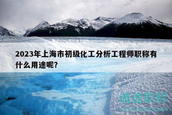 2023年上海市初级化工分析工程师职称有什么用途呢？