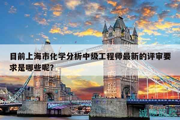 目前上海市化学分析中级工程师最新的评审要求是哪些呢？