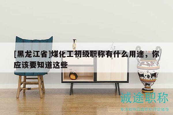 [黑龙江省]煤化工初级职称有什么用途，你应该要知道这些