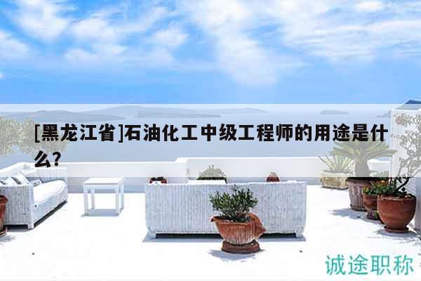 [黑龙江省]石油化工中级工程师的用途是什么？