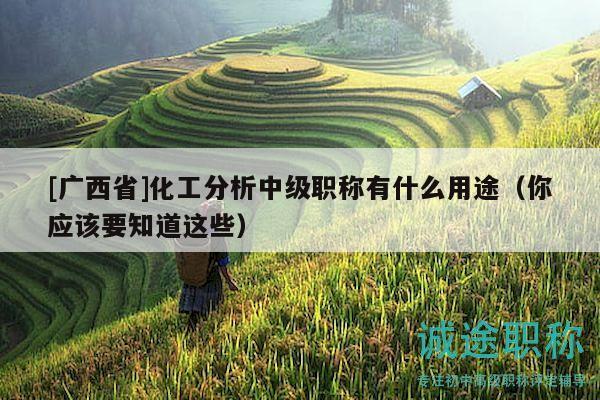 [广西省]化工分析中级职称有什么用途（你应该要知道这些）