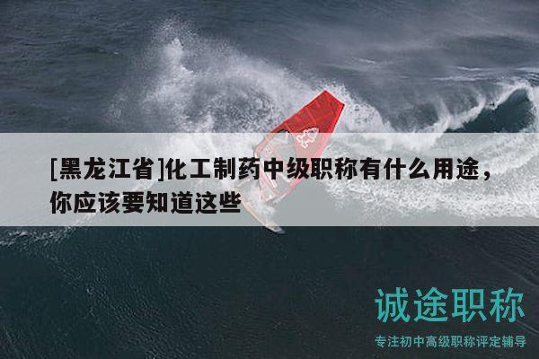 [黑龙江省]化工制药中级职称有什么用途，你应该要知道这些