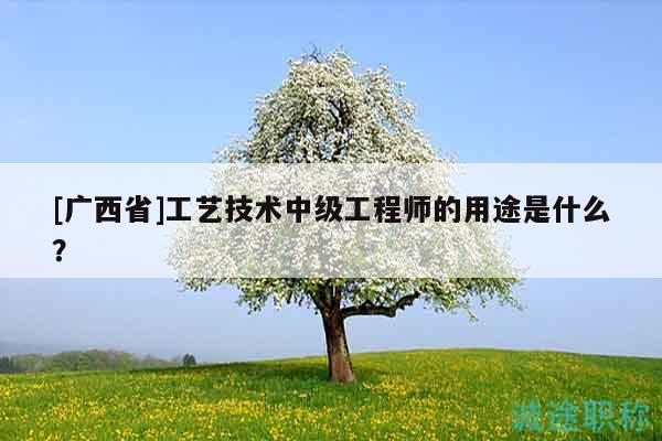 [广西省]工艺技术中级工程师的用途是什么？