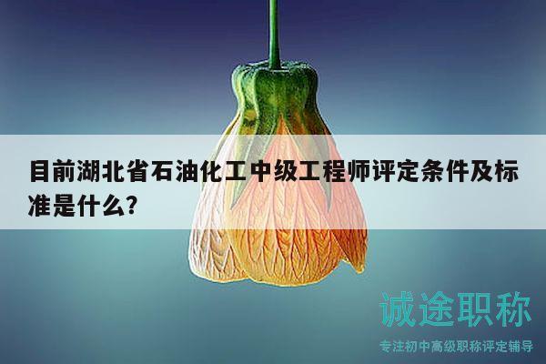 目前湖北省石油化工中级工程师评定条件及标准是什么？