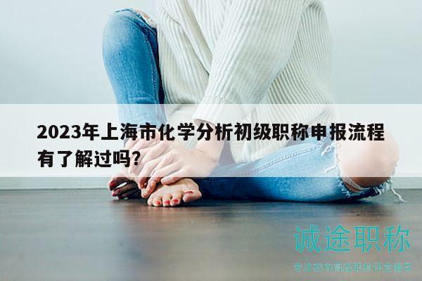 2023年上海市化学分析初级职称申报流程有了解过吗？