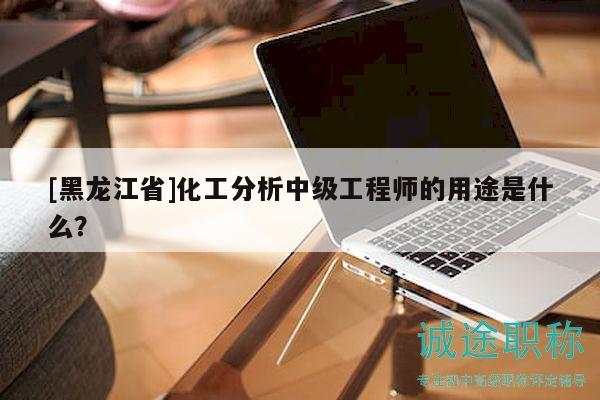 [黑龙江省]化工分析中级工程师的用途是什么？