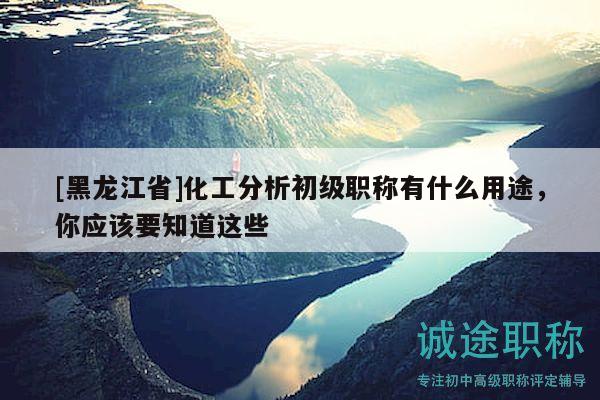 [黑龙江省]化工分析初级职称有什么用途，你应该要知道这些