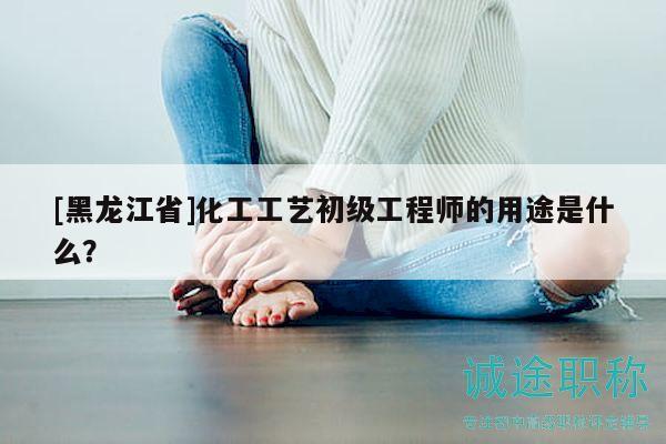 [黑龙江省]化工工艺初级工程师的用途是什么？