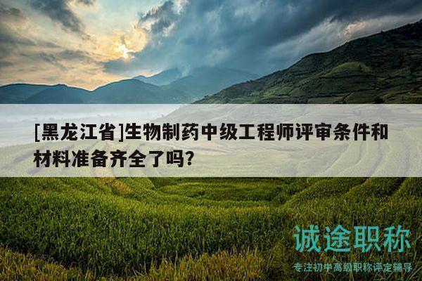 [黑龙江省]生物制药中级工程师评审条件和材料准备齐全了吗？