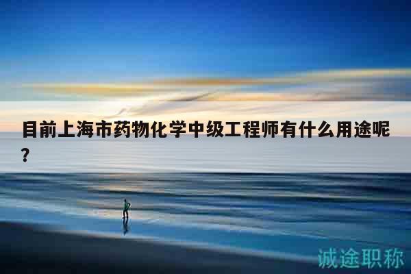 目前上海市药物化学中级工程师有什么用途呢？