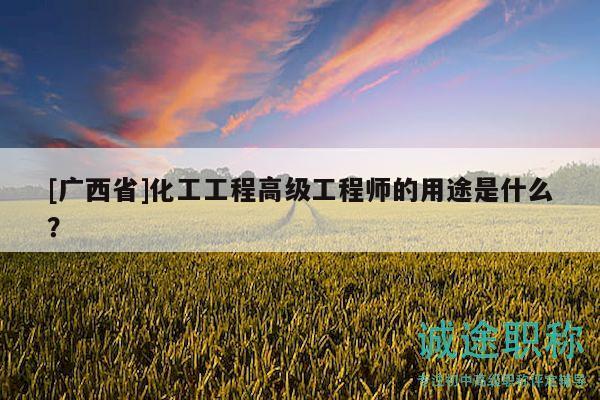 [广西省]化工工程高级工程师的用途是什么？