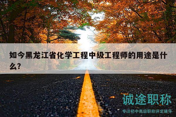 如今黑龙江省化学工程中级工程师的用途是什么？