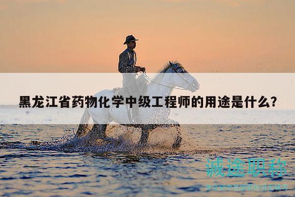黑龙江省药物化学中级工程师的用途是什么？