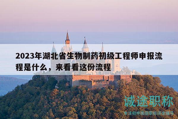 2023年湖北省生物制药初级工程师申报流程是什么，来看看这份流程