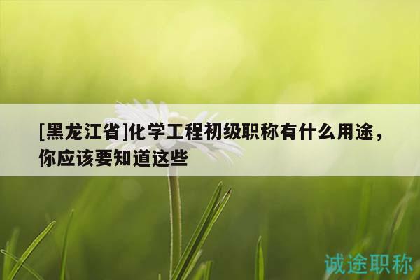 [黑龙江省]化学工程初级职称有什么用途，你应该要知道这些